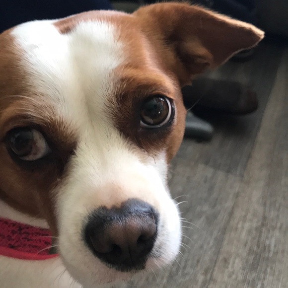 Meet your Posher, David - Picture 1 of 1